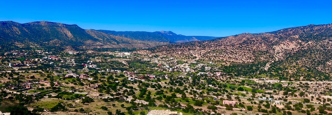 La forêt d’argan